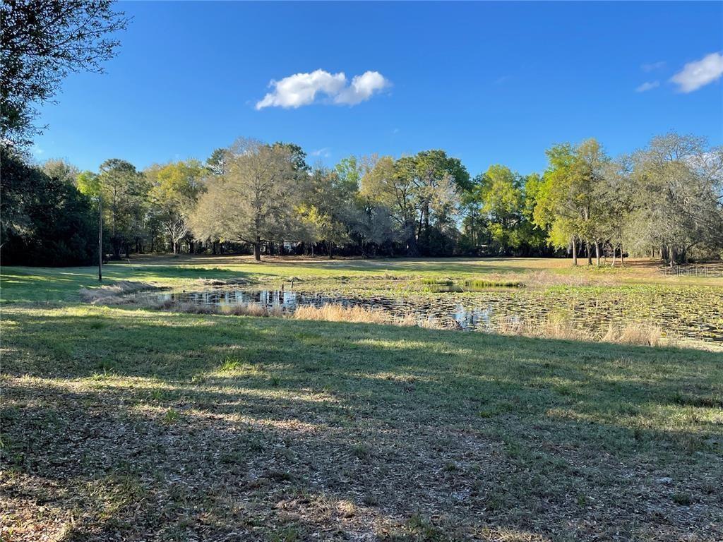 195 Lake Molly Ave Property Photo 1