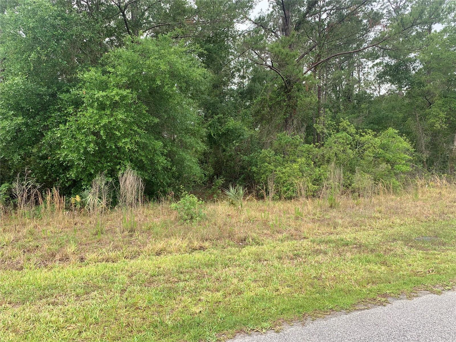 525 LIVE OAK LOOP Property Photo 1