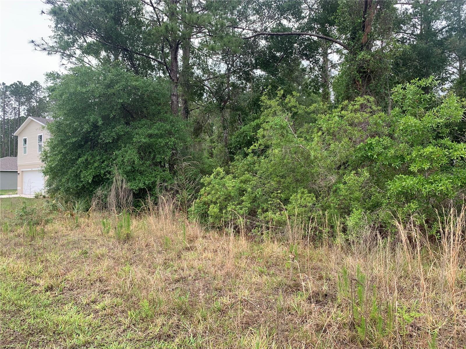 525 Live Oak Loop Property Photo 5