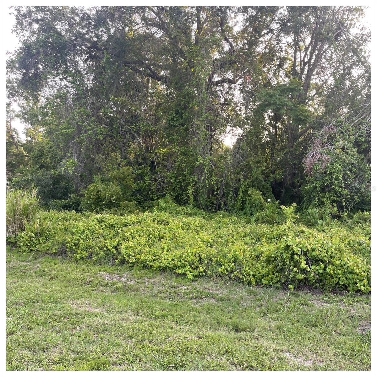 2701 Kingfisher Vlg Property Photo 5
