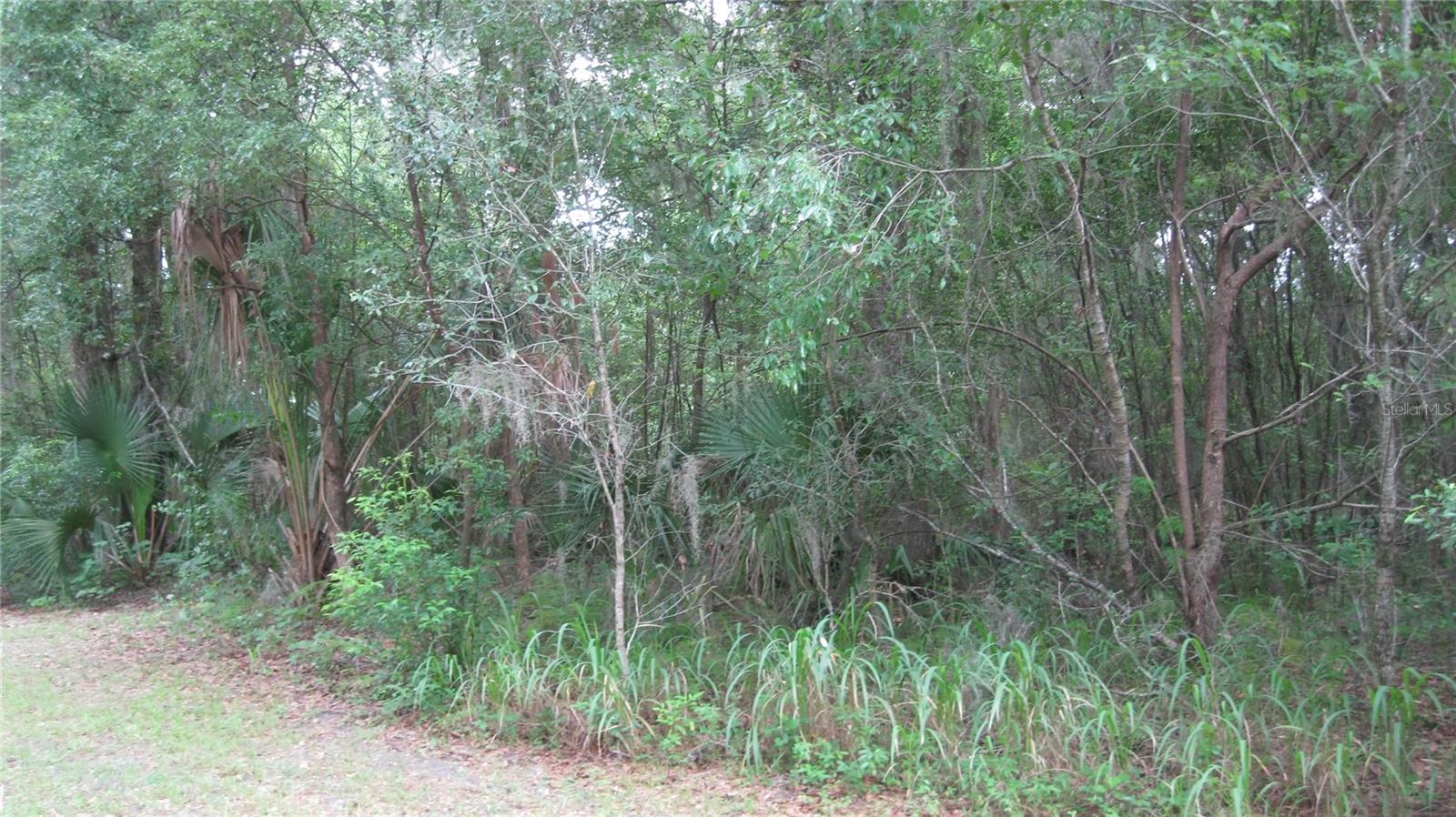 Oak Valley Dr Property Photo 1