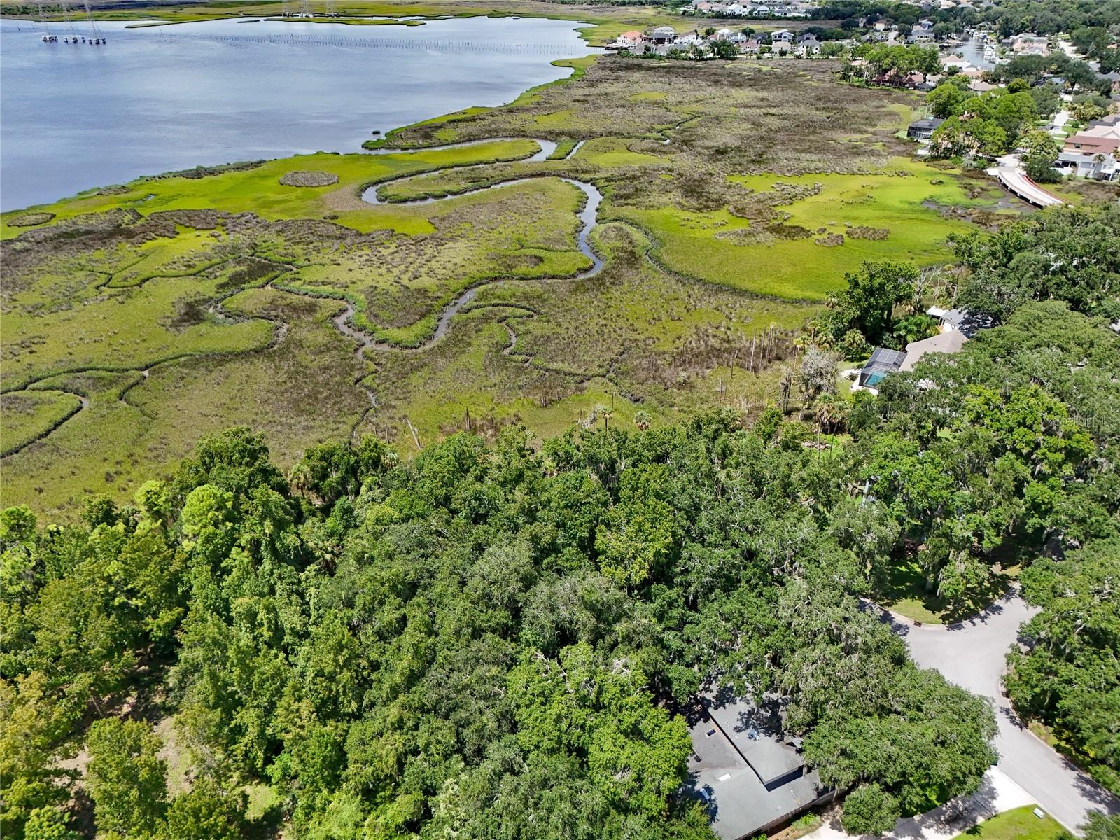 Oak Landings Dr Property Photo 4