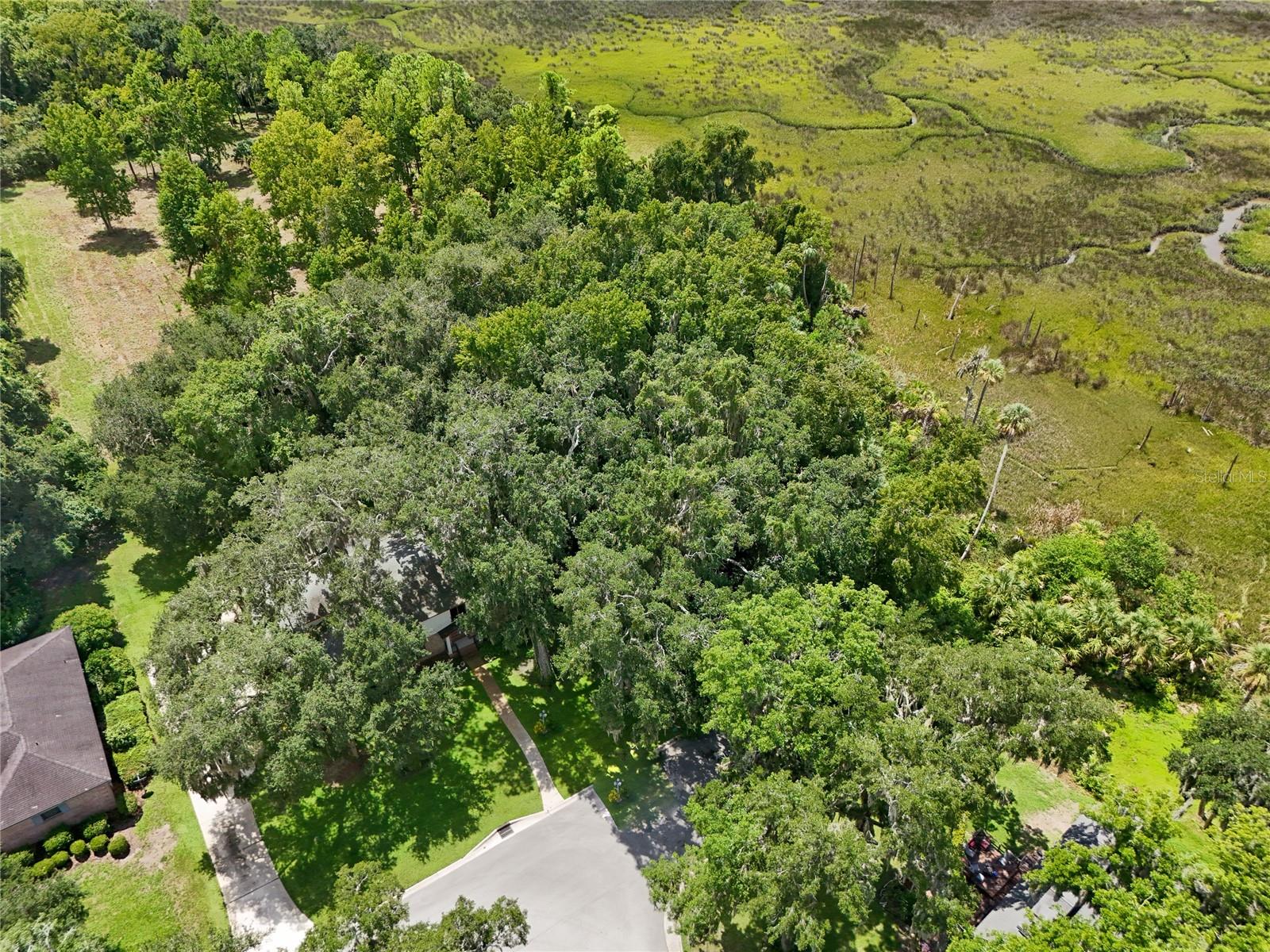 Oak Landings Dr Property Photo 9