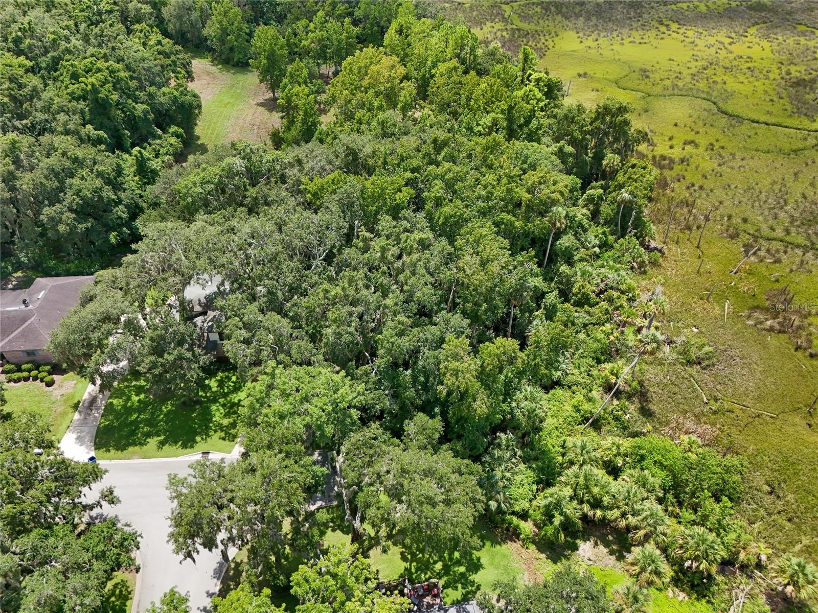 Oak Landings Dr Property Photo 10
