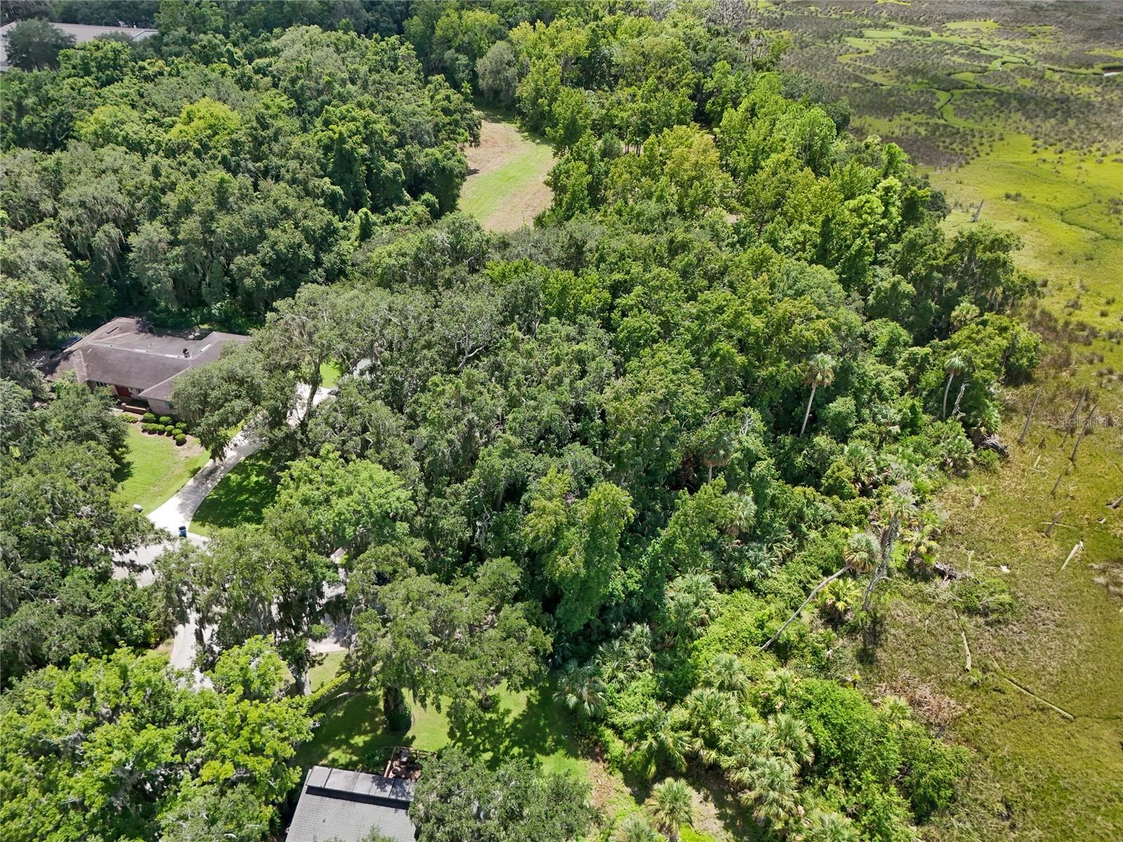 Oak Landings Dr Property Photo 11