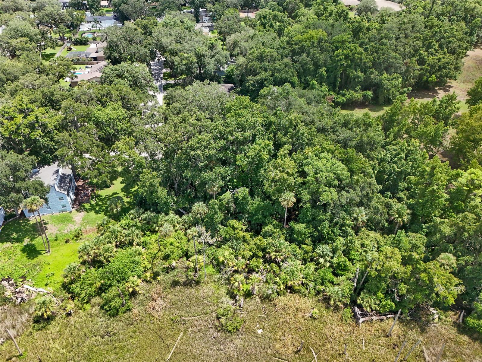 Oak Landings Dr Property Photo 13