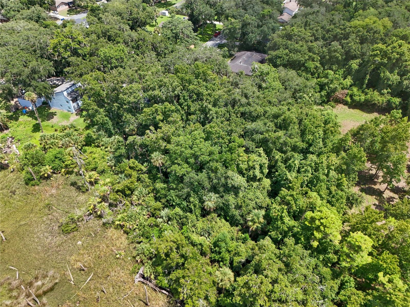Oak Landings Dr Property Photo 14
