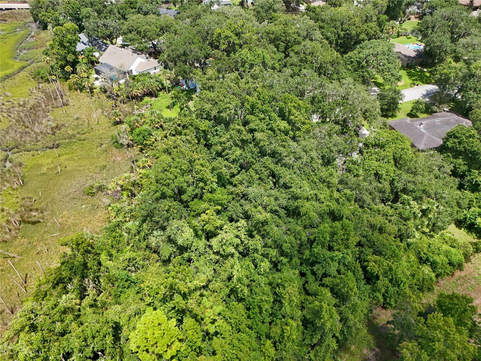 Oak Landings Dr Property Photo 15
