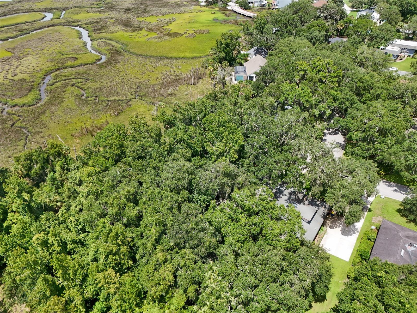 Oak Landings Dr Property Photo 16