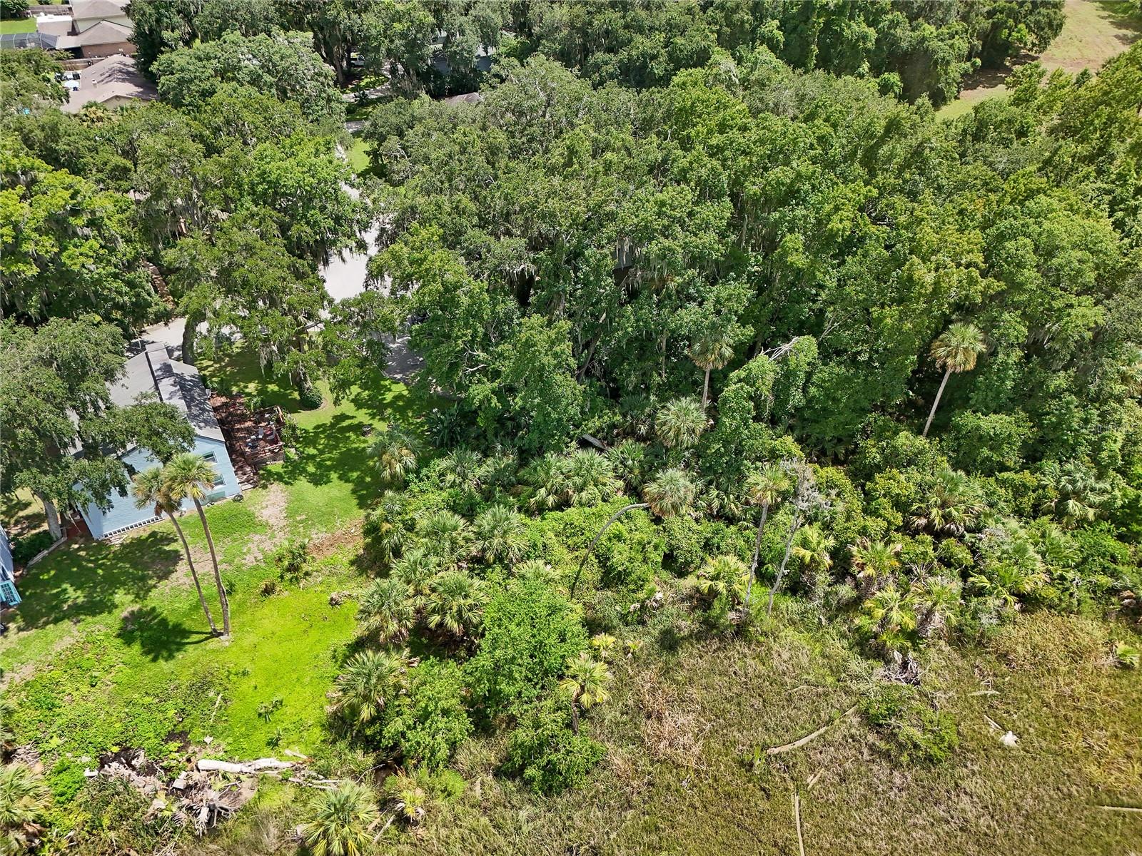 Oak Landings Dr Property Photo 35