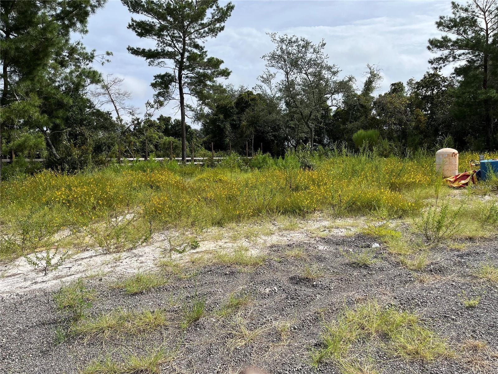 2500 Leonard Dr Property Photo 8