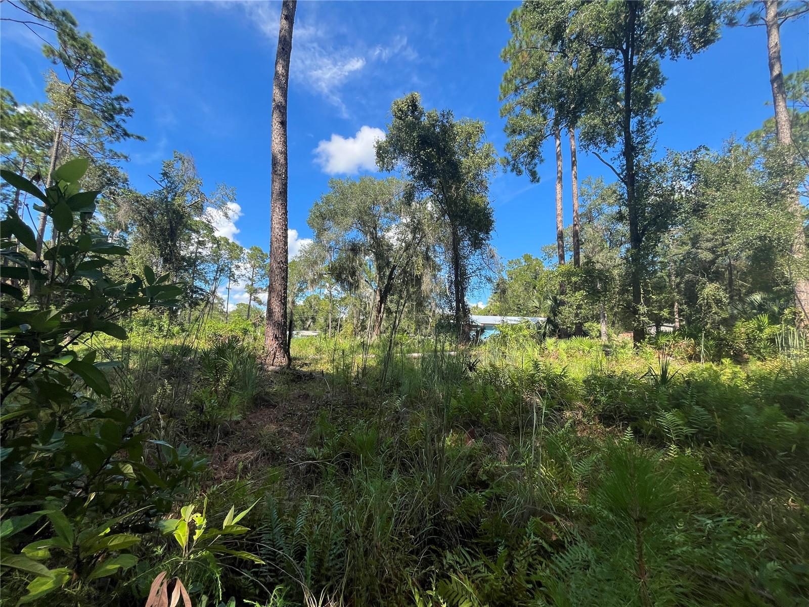 V4945105 Property Photo 25