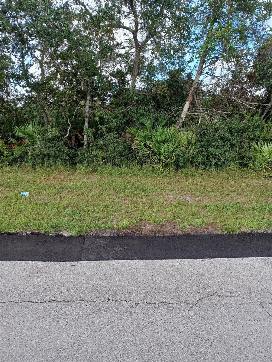 2848 Jewel Ave Property Photo 1