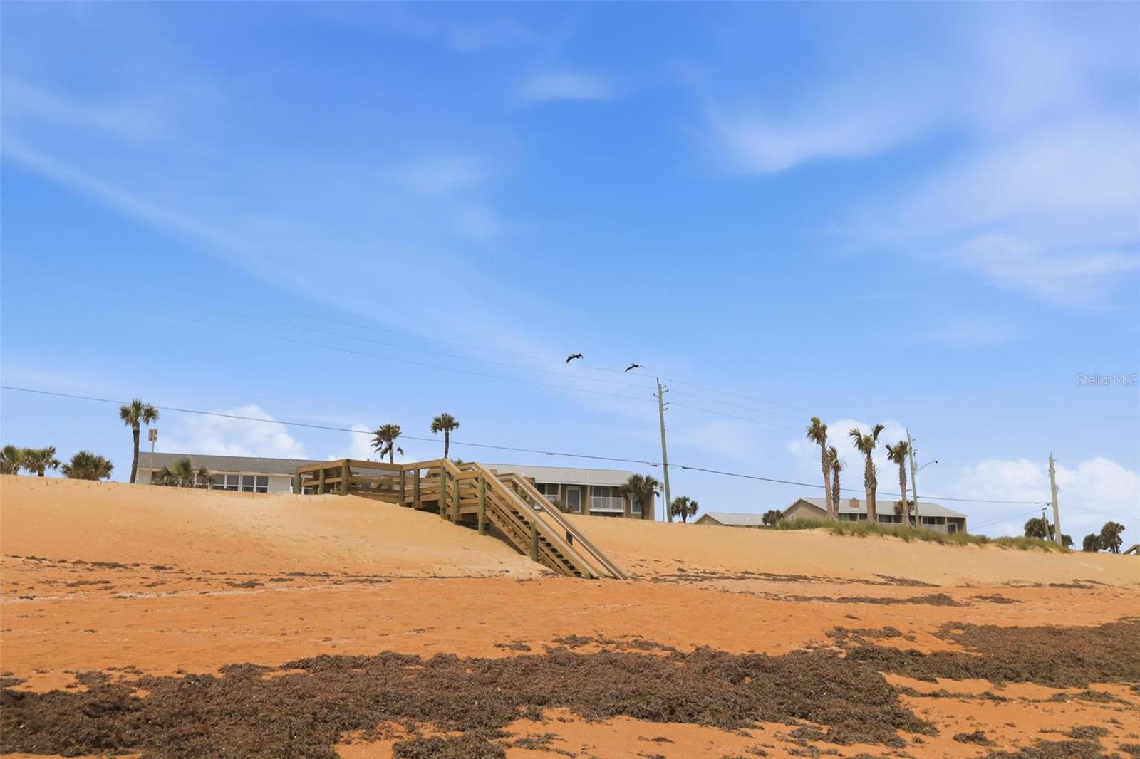2860 Ocean Shore Blvd #3030 Property Photo 48