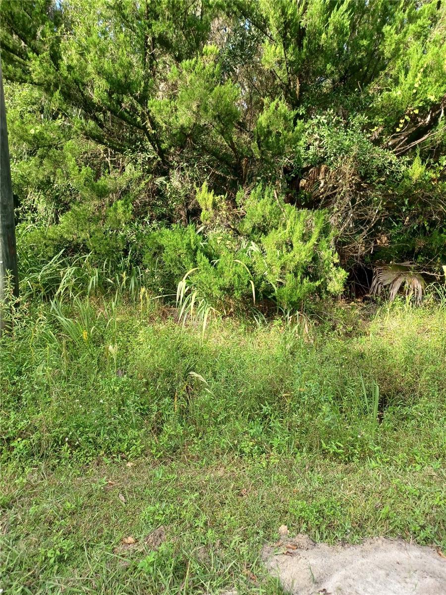 Winona Dr Property Photo 1