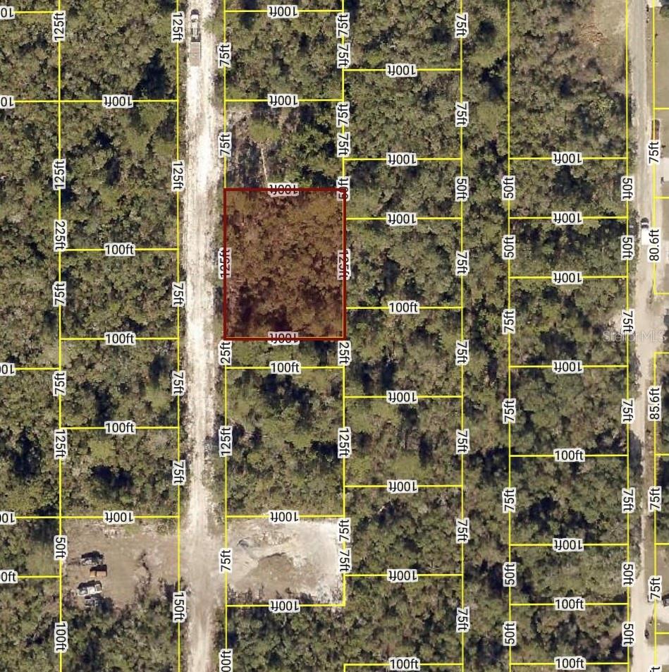 Waldor Ave Property Photo 2
