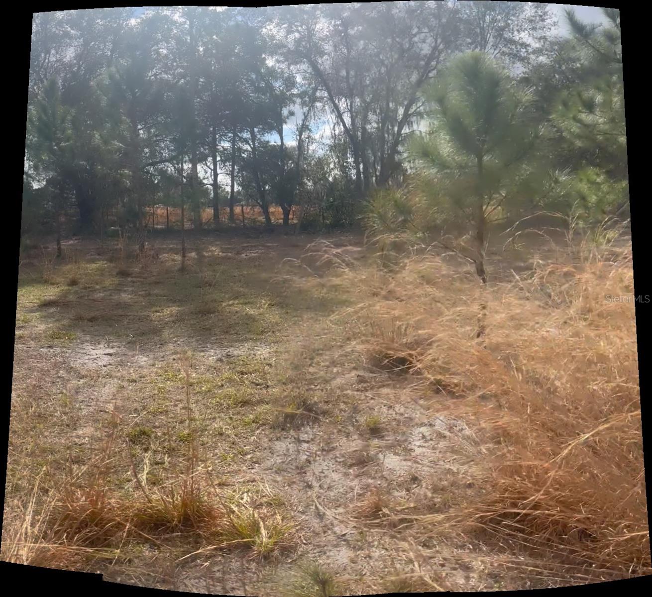 44750 Misty Isle Dr Property Photo 4