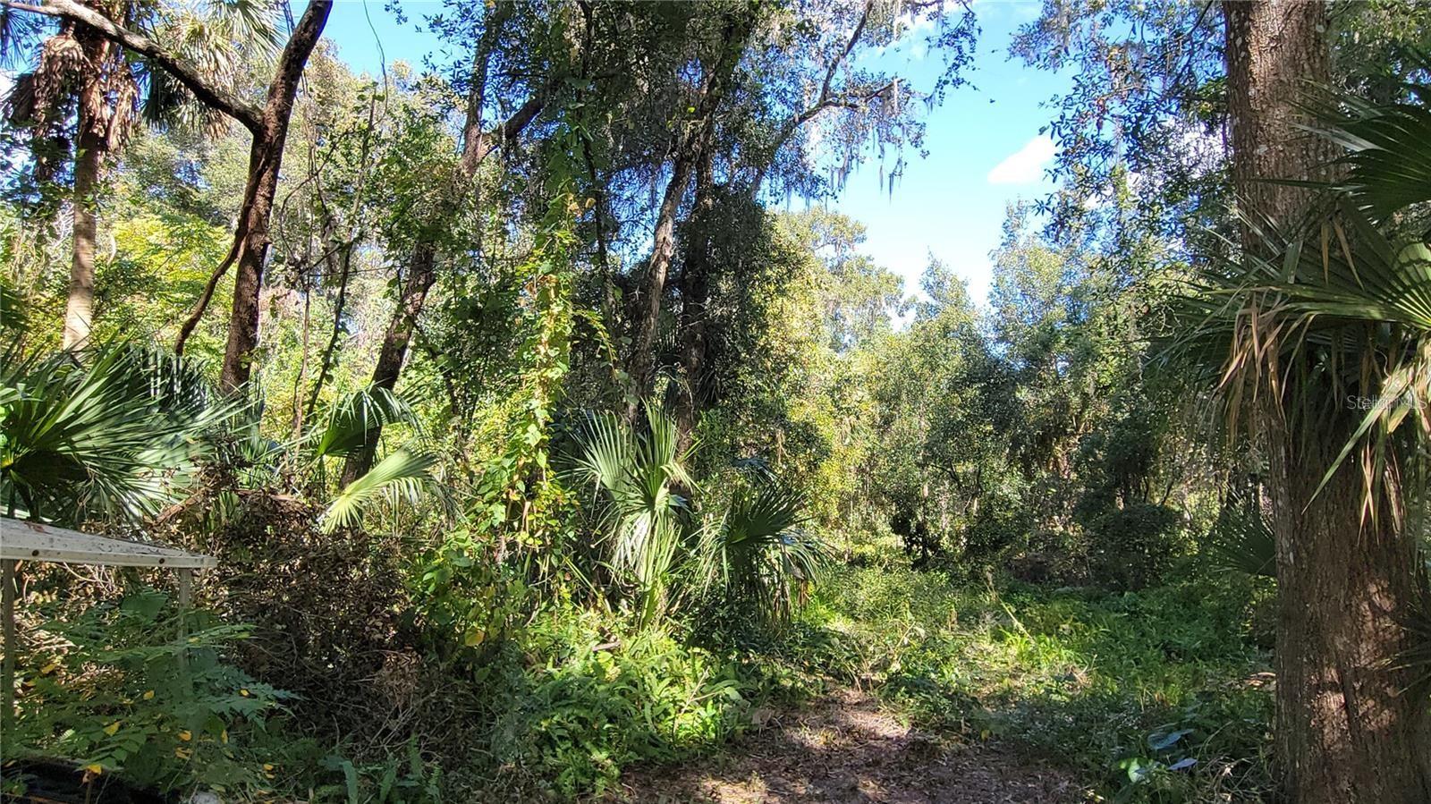 Lakeview St Property Photo 5