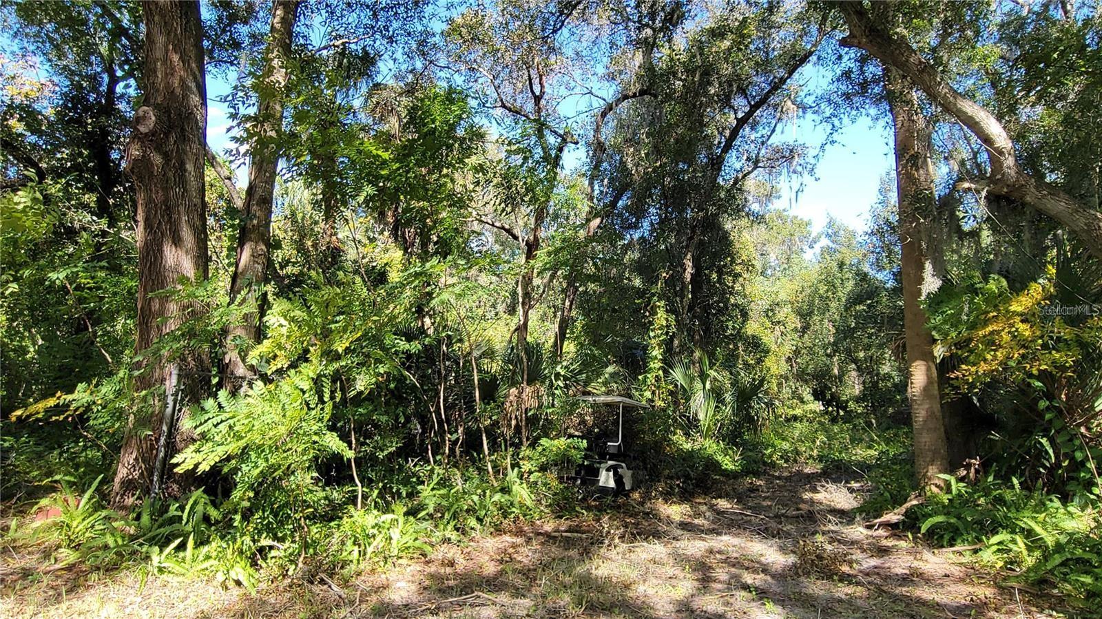 Lakeview St Property Photo 6