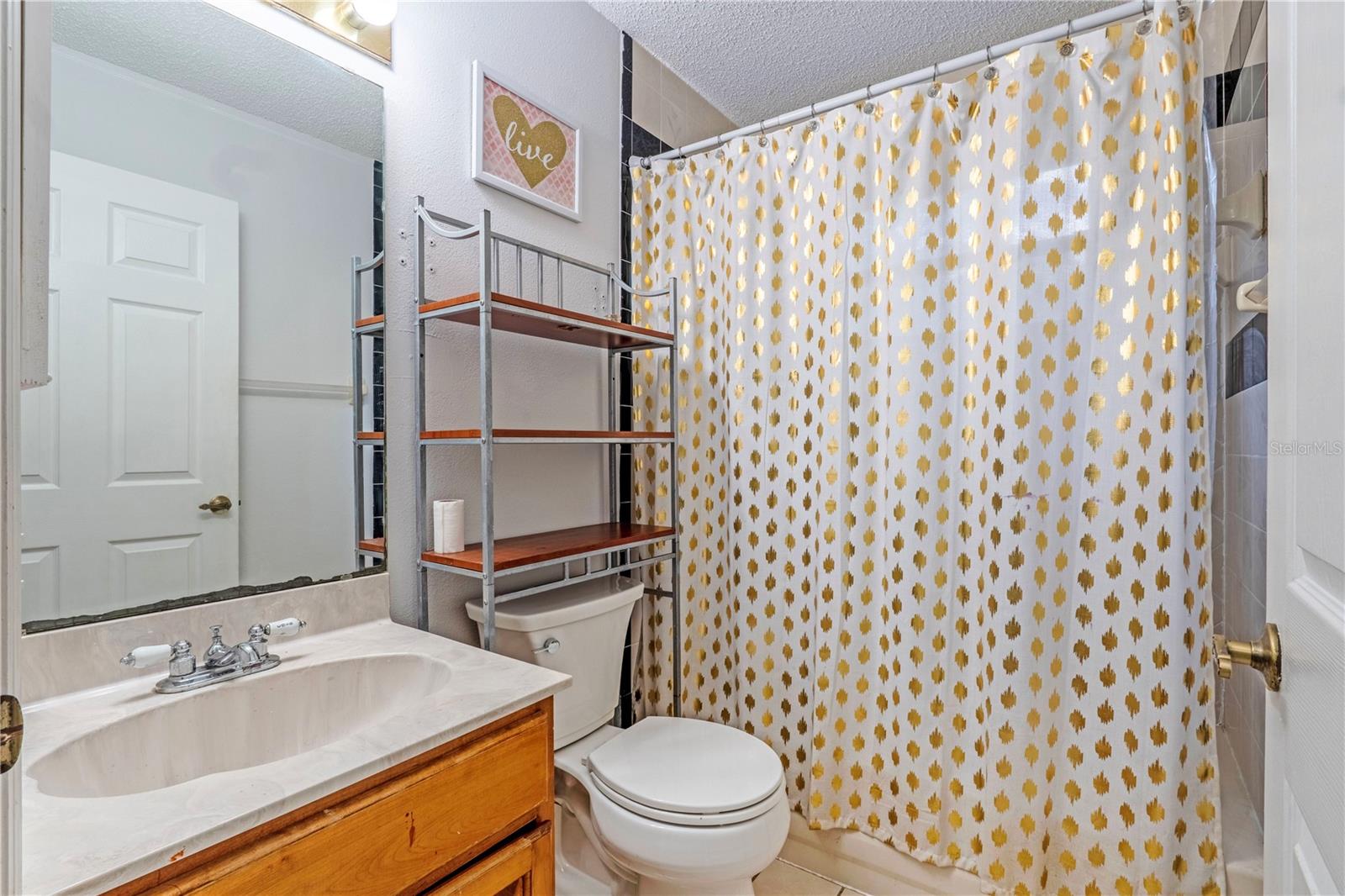425 Black Ironwood Dr Property Photo 13