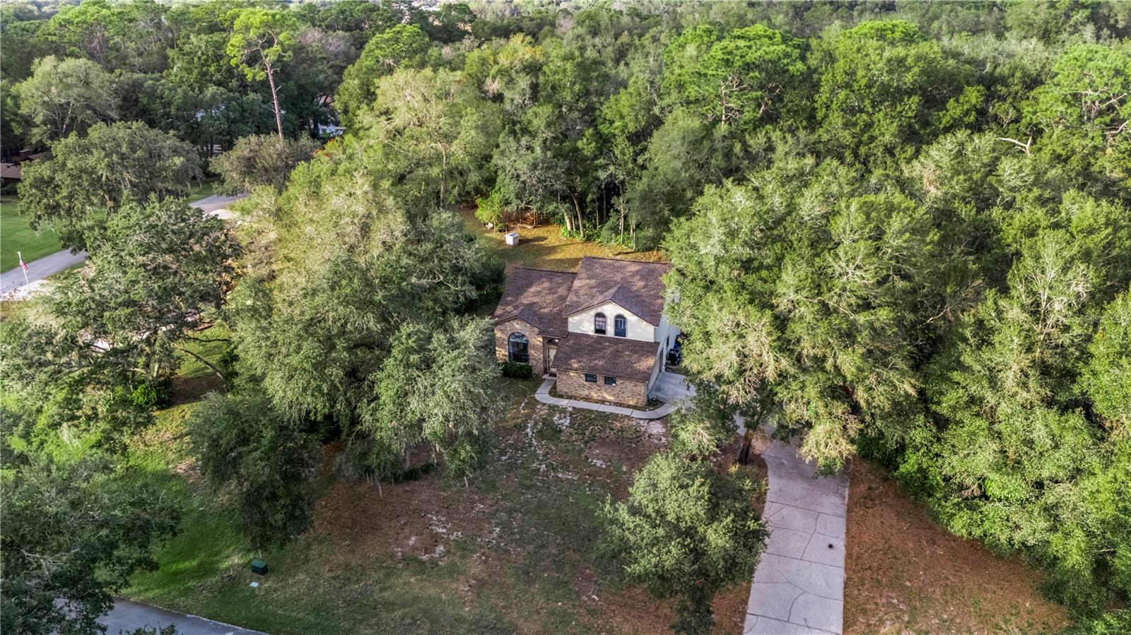 425 Black Ironwood Dr Property Photo 20