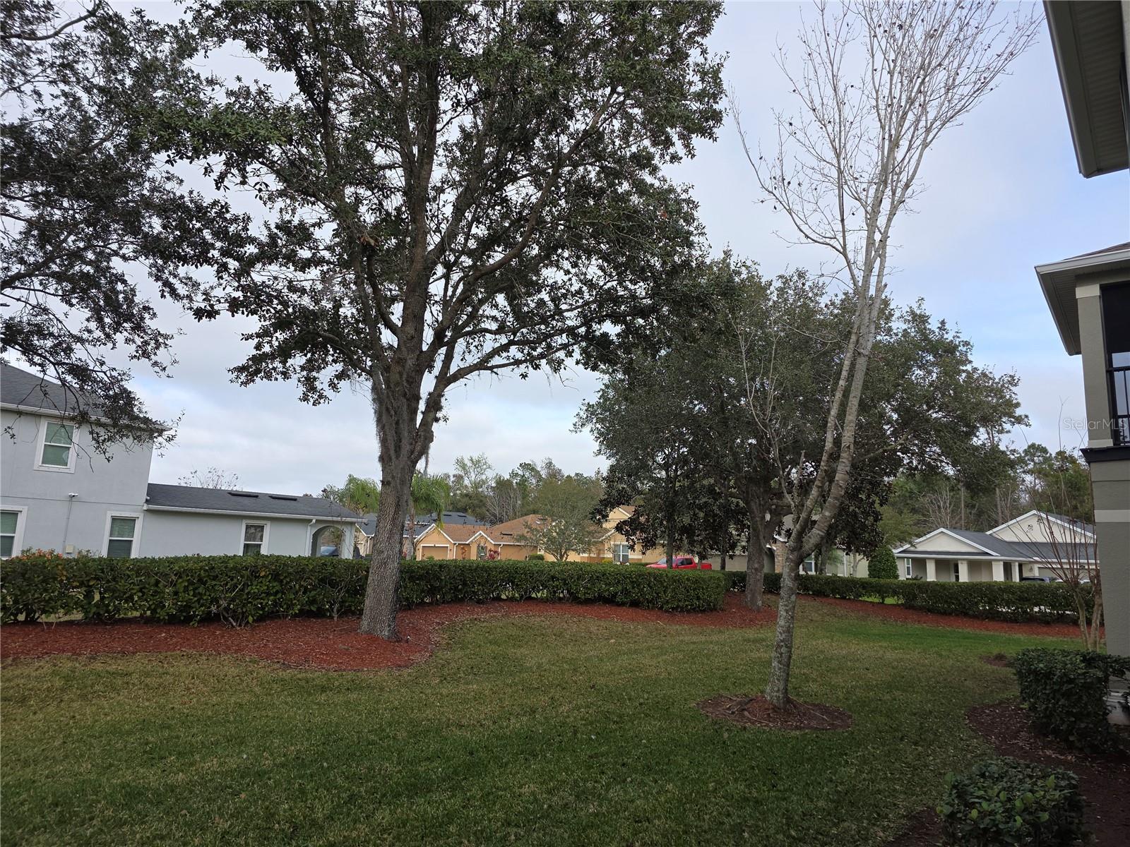 104 Kelly Thomas Way Property Photo 35