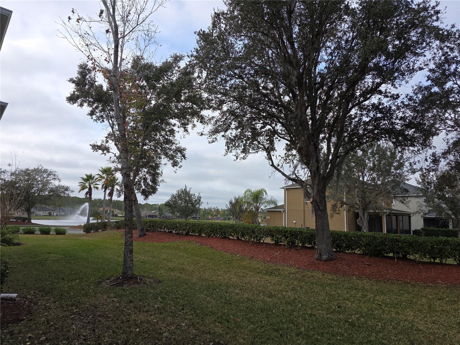 104 Kelly Thomas Way Property Photo 37