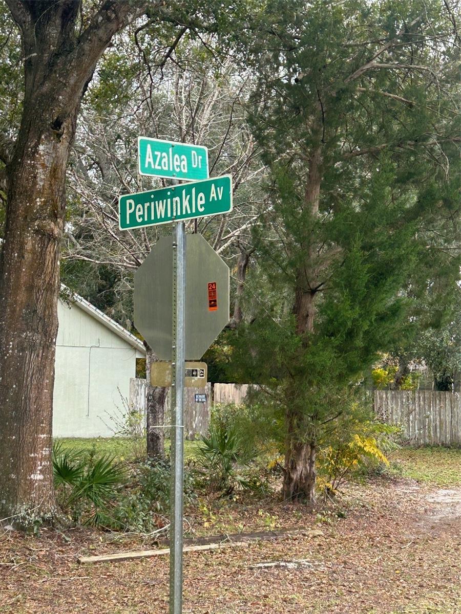 Periwinkle Dr Property Photo 4