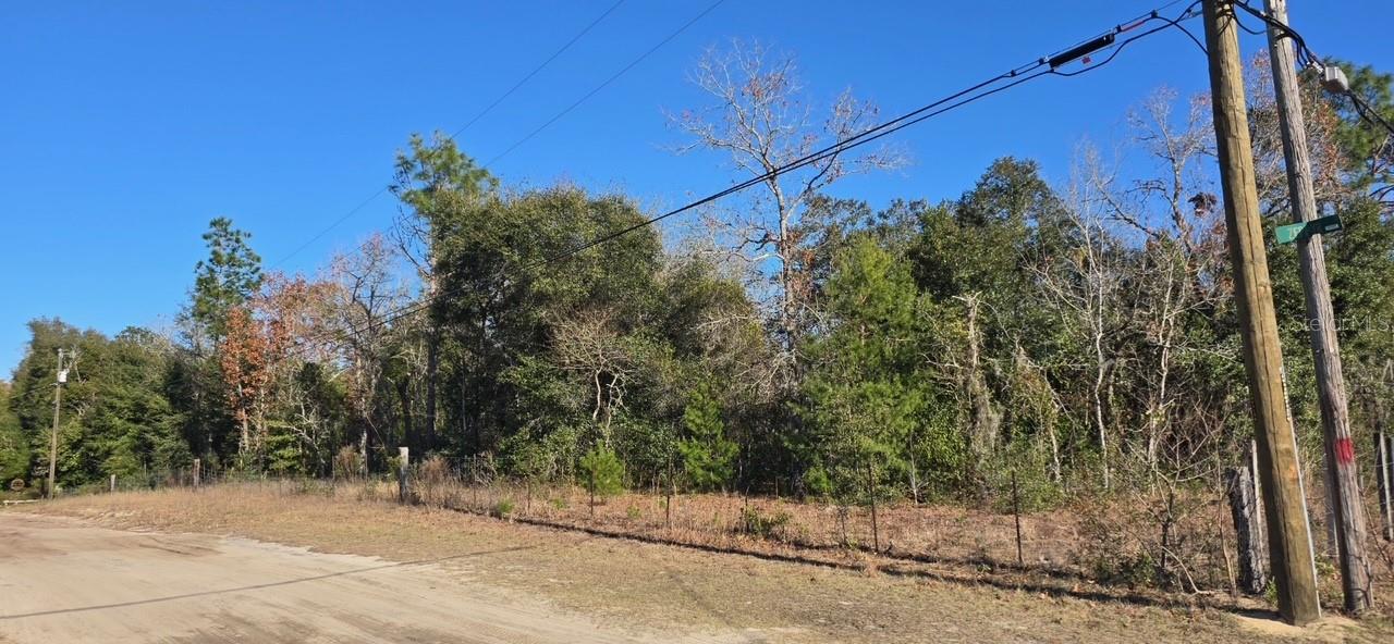 7195 Gas Line Rd Property Photo 1