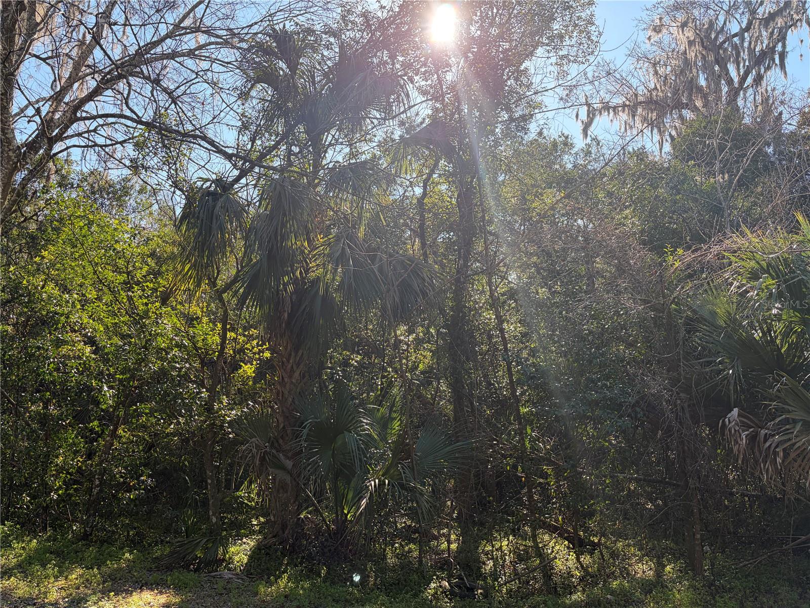 Lot 13 Quebec Ave Property Photo 5