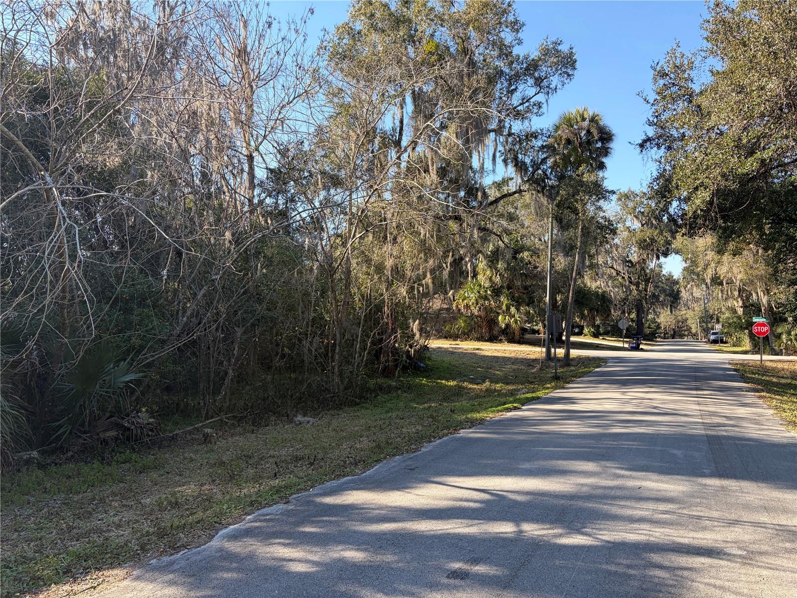 Lot 16 Quebec Ave Property Photo 5
