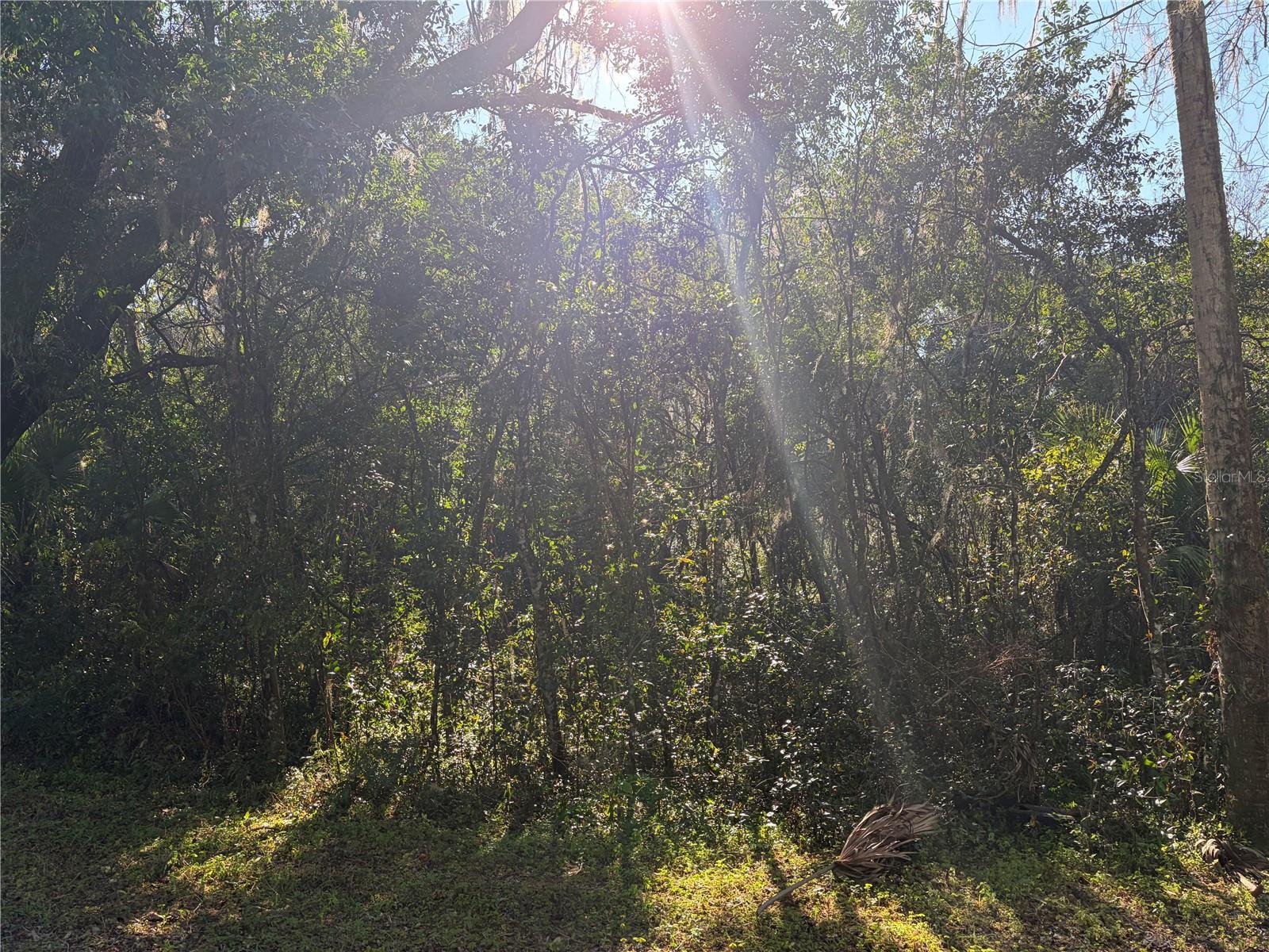 Lot 16 Quebec Ave Property Photo 6
