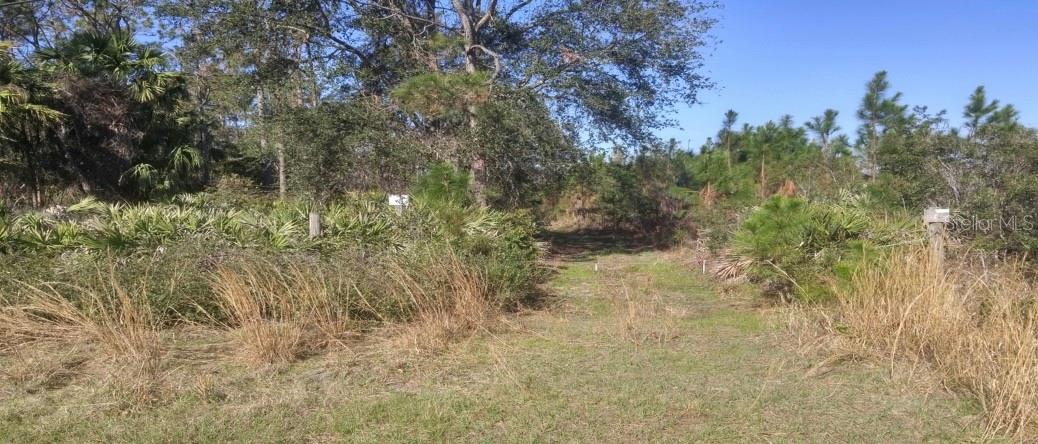 Us 1 North Property Photo 4