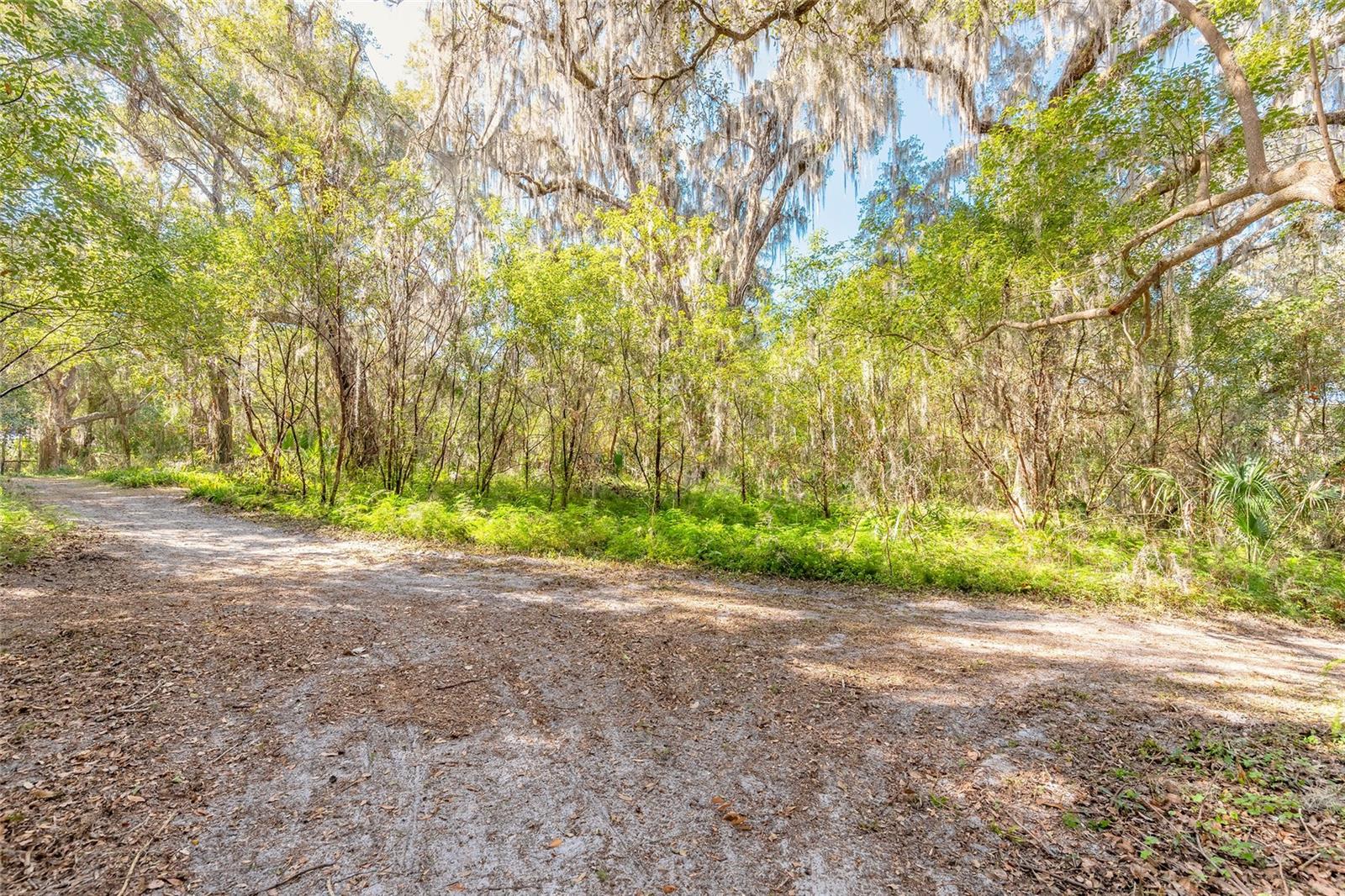 2095 Stone Rd Property Photo 7