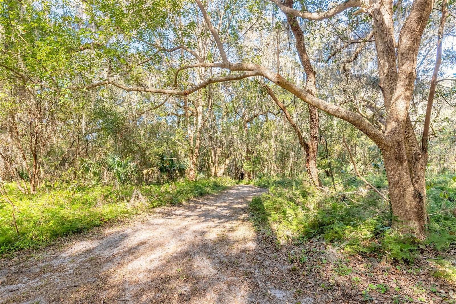 2095 Stone Rd Property Photo 8