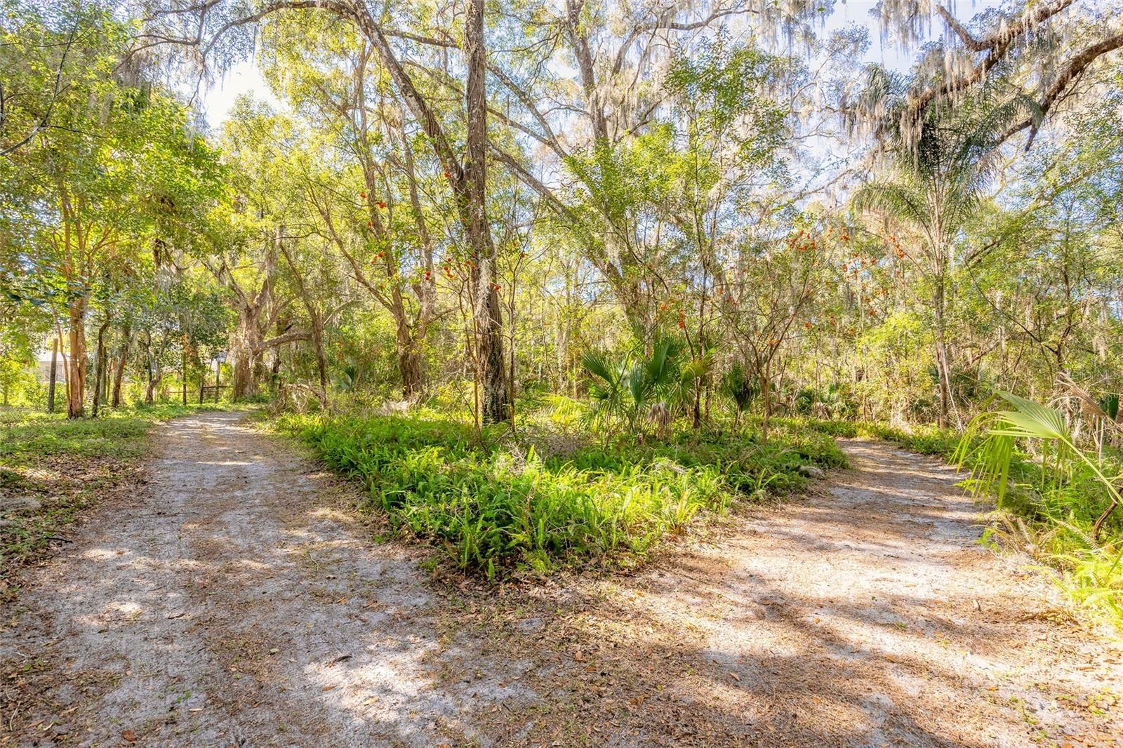 2095 Stone Rd Property Photo 9
