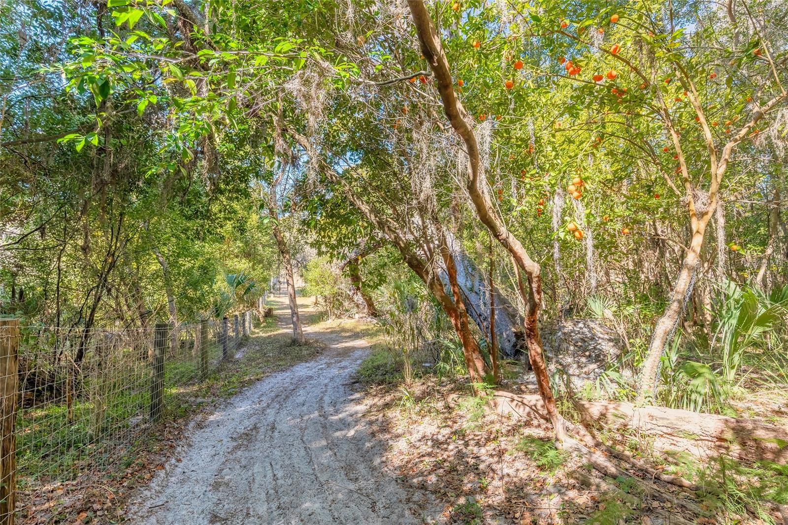 2095 Stone Rd Property Photo 11
