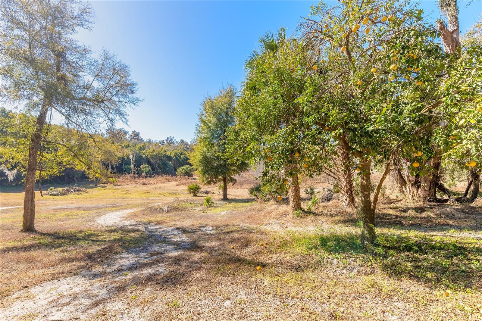 2095 Stone Rd Property Photo 12