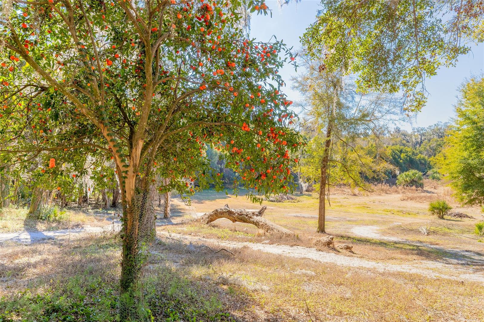 2095 Stone Rd Property Photo 13