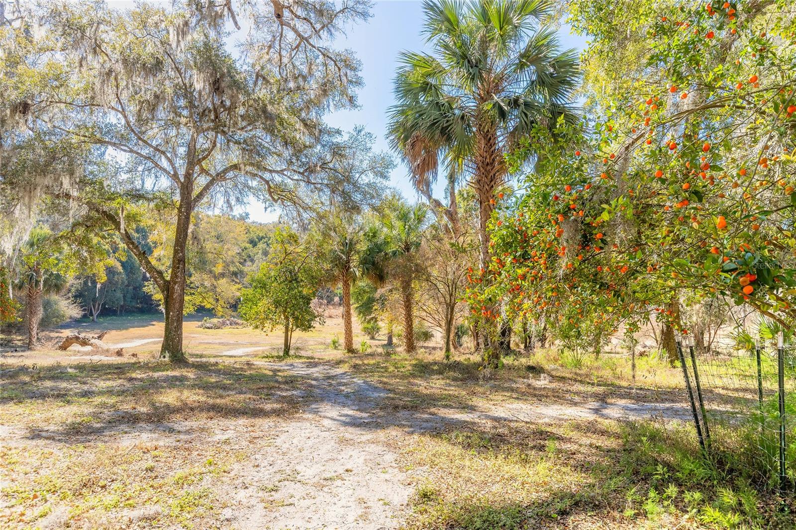 2095 Stone Rd Property Photo 14