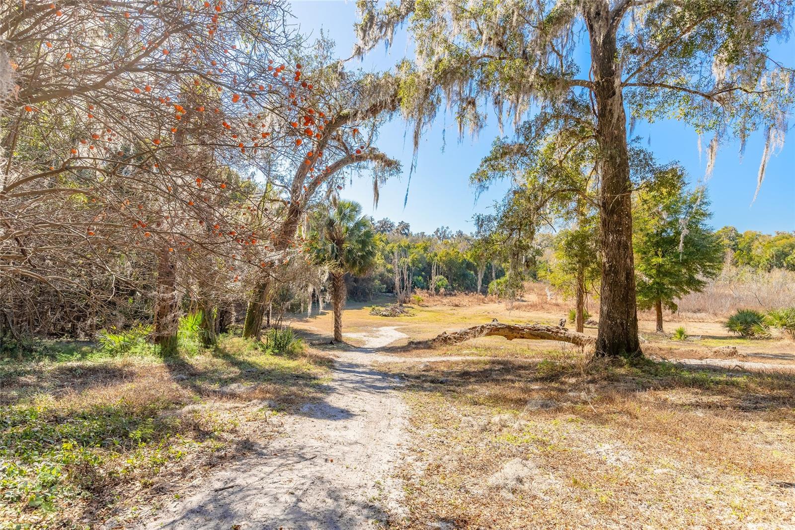 2095 Stone Rd Property Photo 15