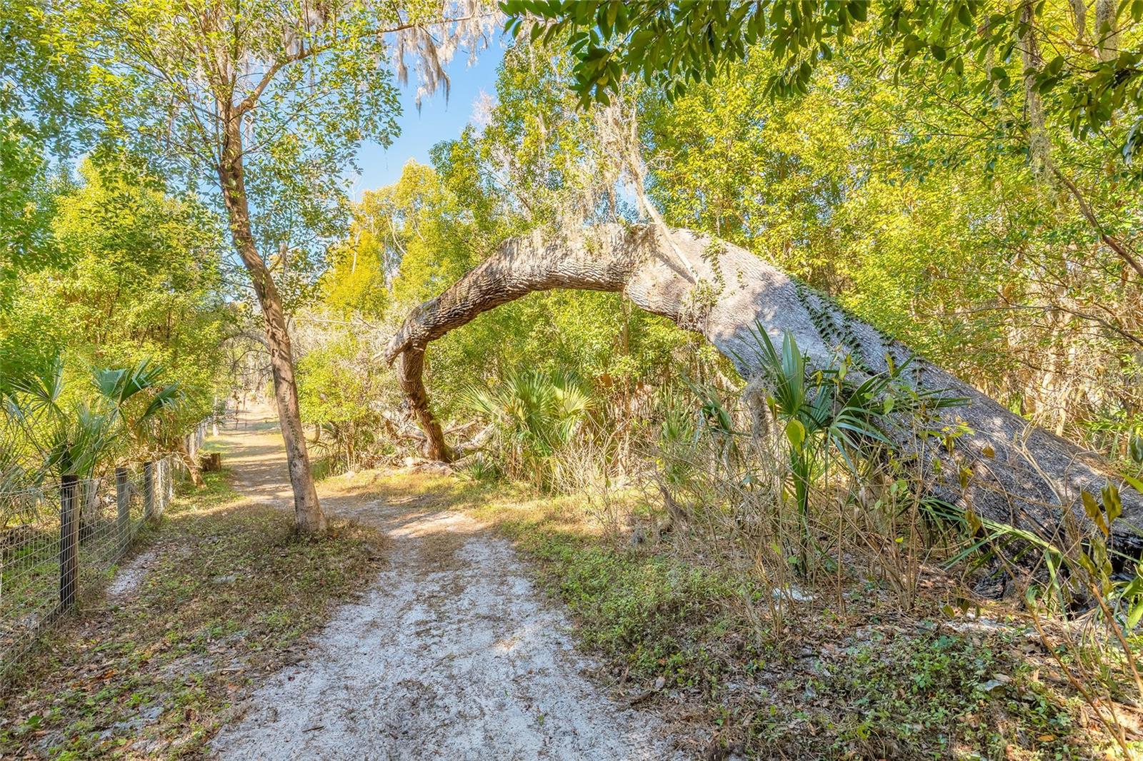 2095 Stone Rd Property Photo 16