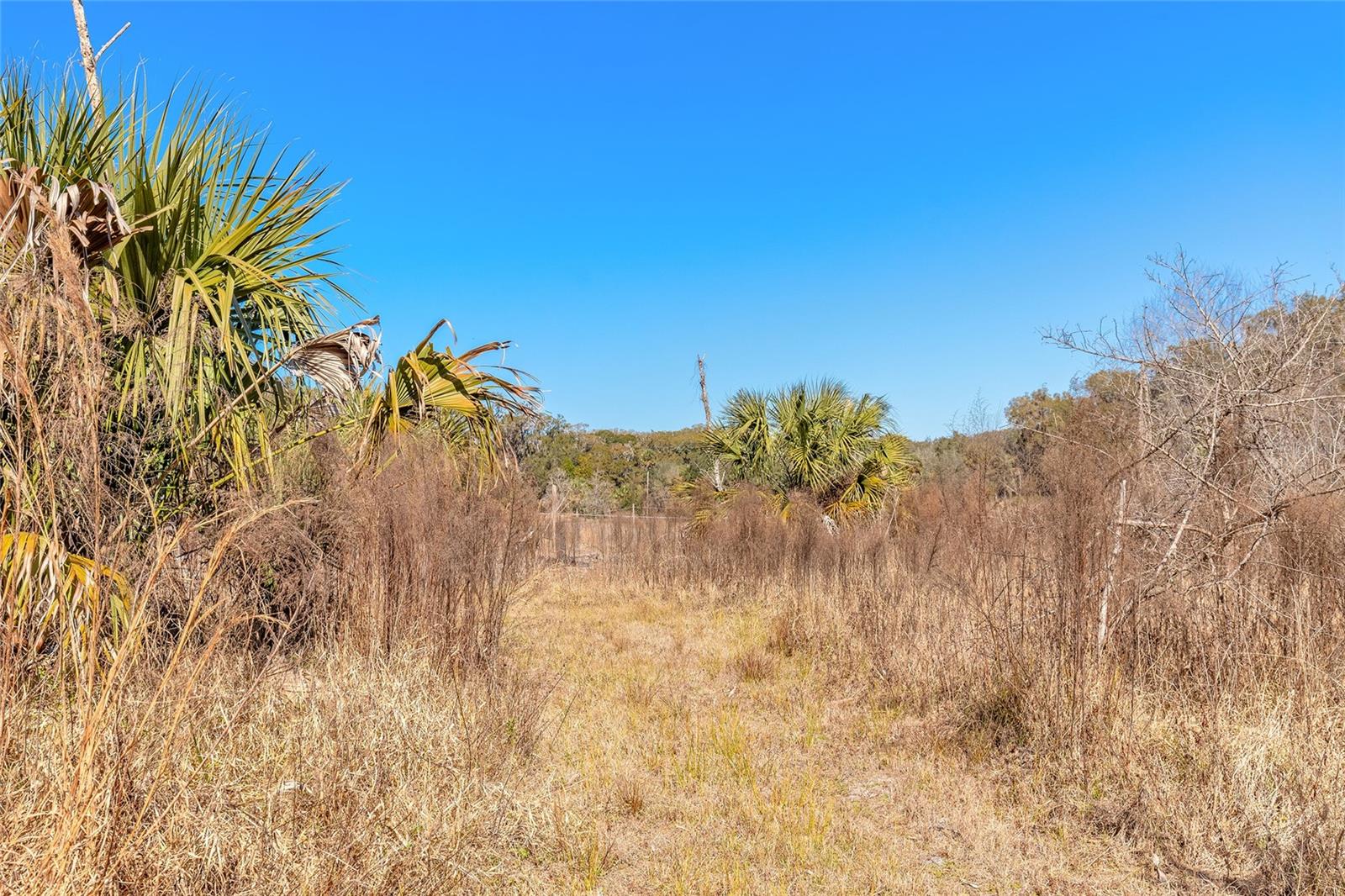 2095 Stone Rd Property Photo 26