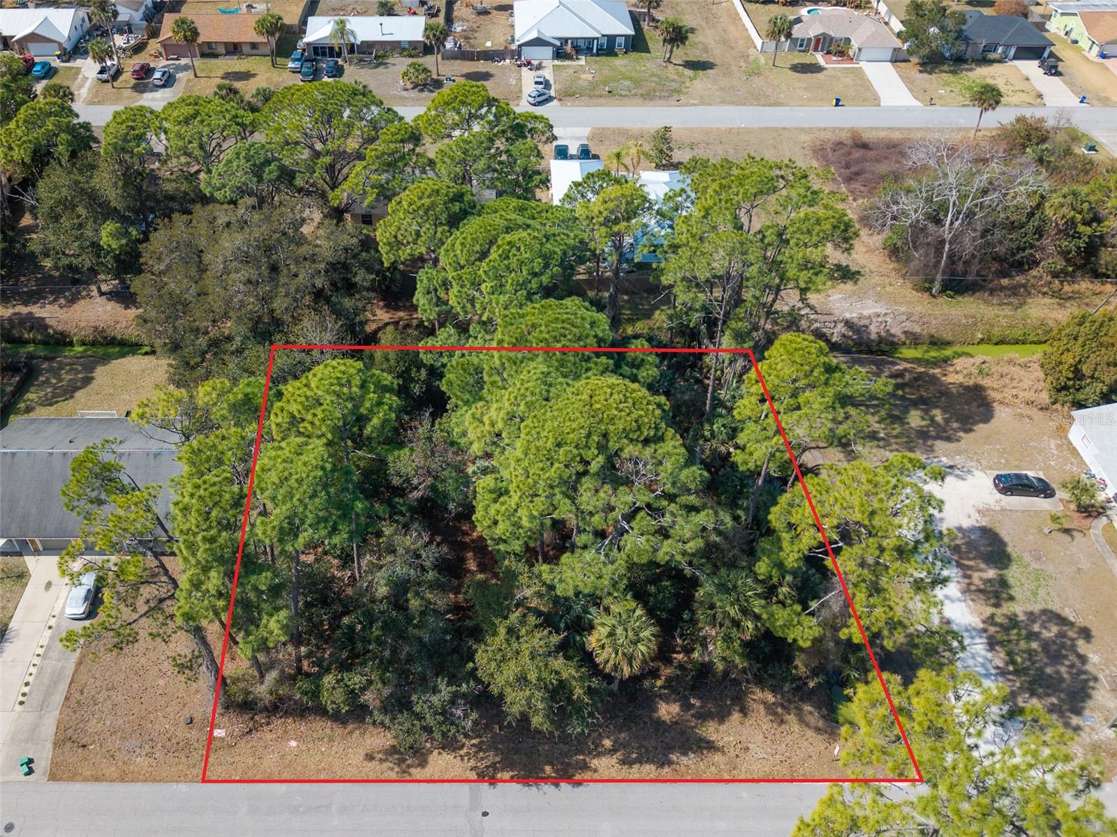 2904 INDIA PALM DR Property Photo 1