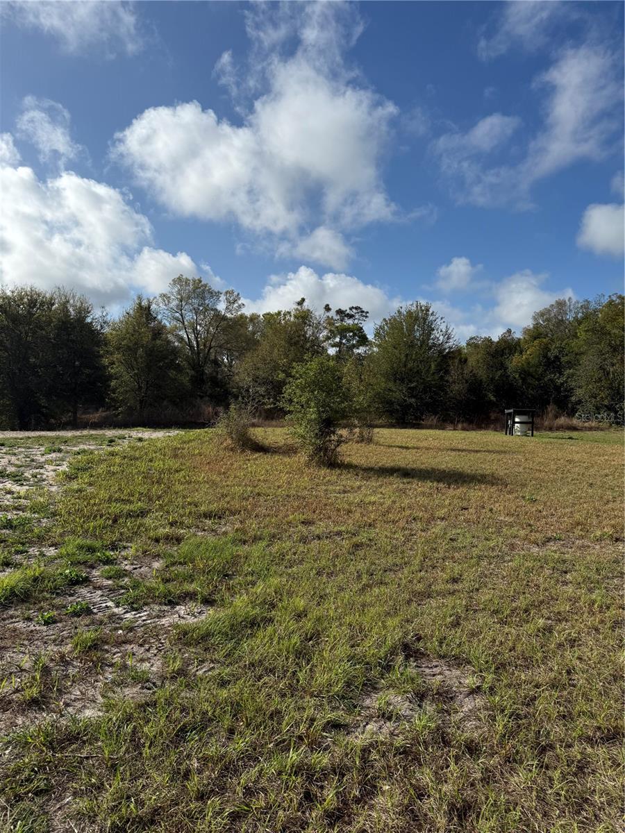 1043 Hazen Rd Property Photo 8