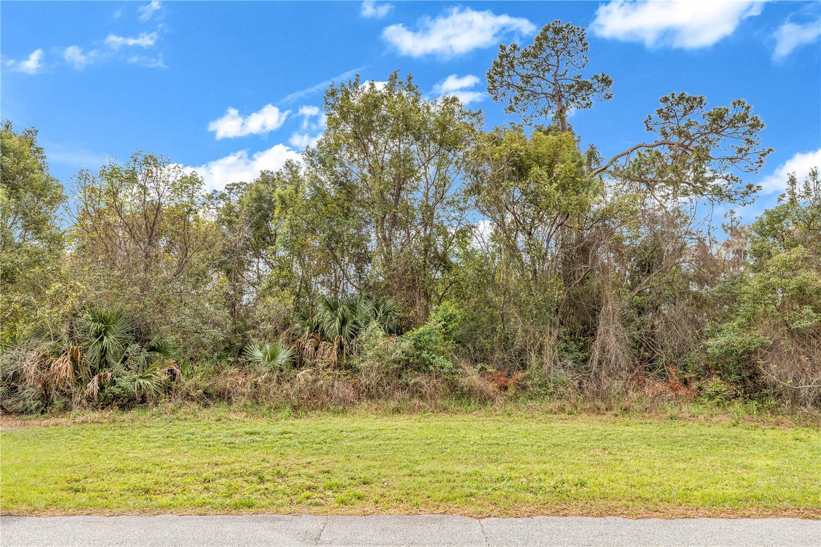 205 Plumosa Rd Property Photo 3