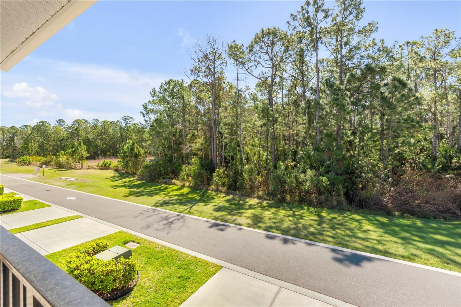 3446 Medici Blvd Property Photo 45