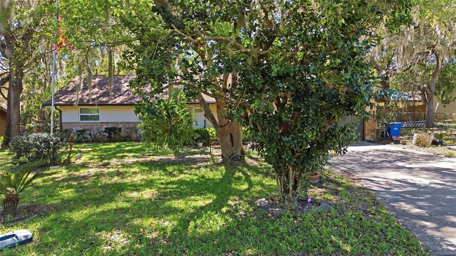 1480 Gaudrey St Property Photo 33
