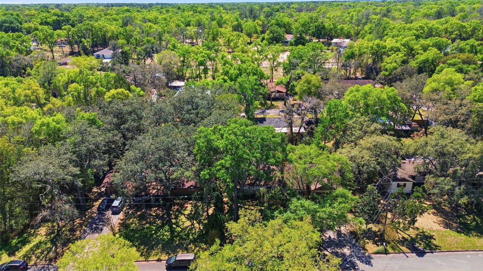 1480 Gaudrey St Property Photo 34