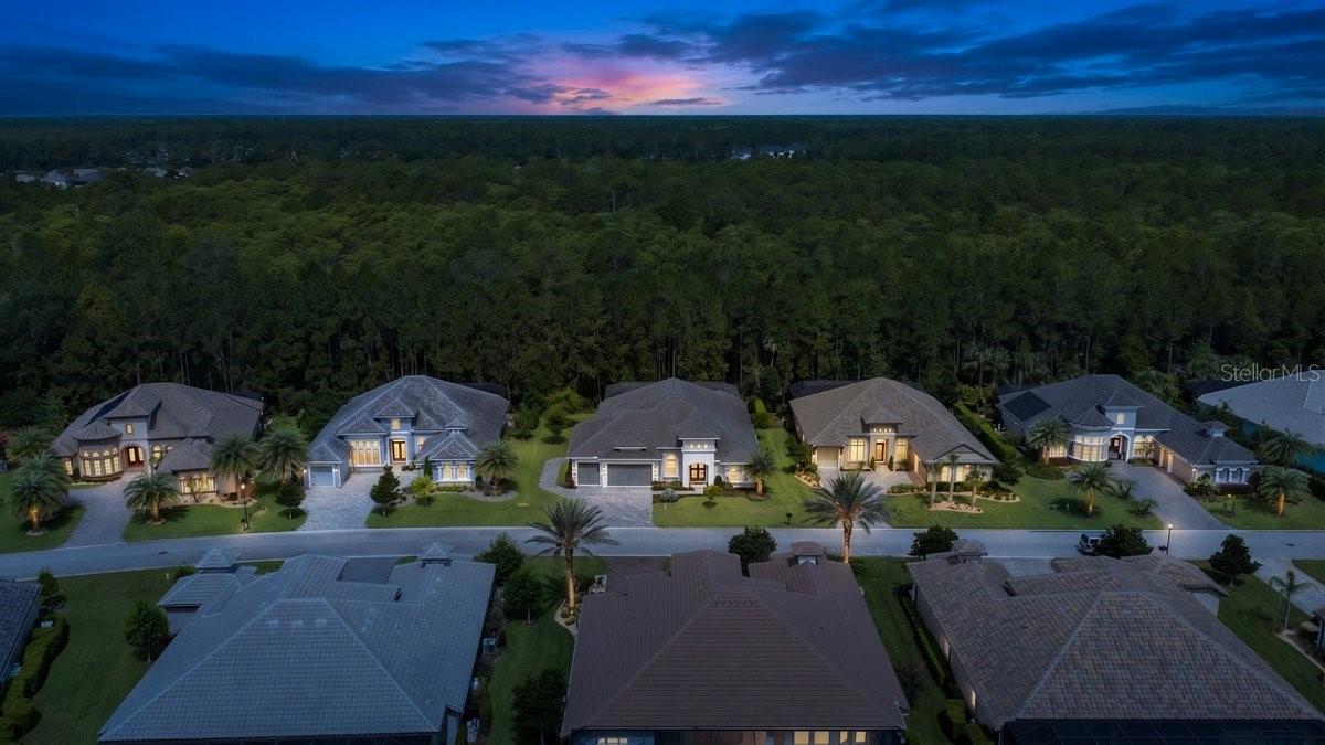 513 Wingspan Dr Property Photo 65
